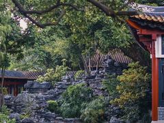 -顺峰山公园