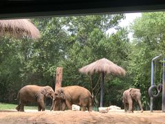 -北京野生动物园