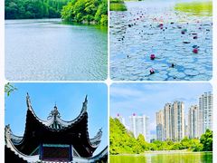 -观山湖公园