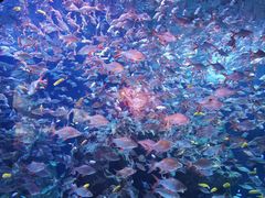 -成都浩海立方海洋公园