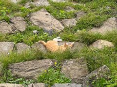 -东天目山风景区