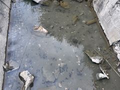 -松州古城