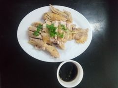 白斩鸡-老中和羊肉馆
