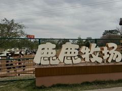 -盈香心动乐园
