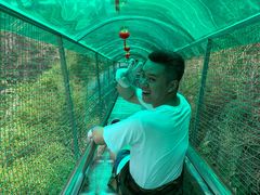 -野三坡清泉山风景区