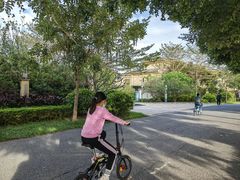-风云岭森林公园