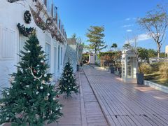 -花海间·即刻露营