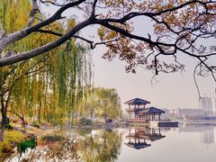 -桃花岛公园