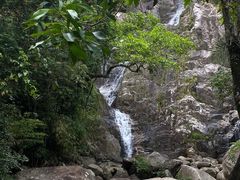 -海南霸王岭国家森林公园
