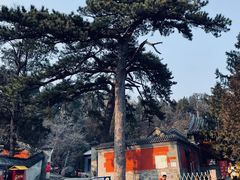 -阳台山自然风景区