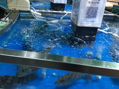 -盒马鲜生(莱蒙都会店)