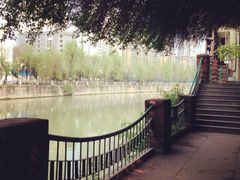 iphone_upload_pic-成都市活水公园