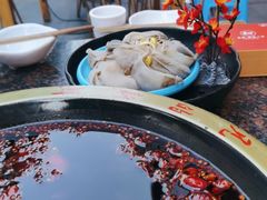 -一斗火锅·招财羊毛肚(泰吉滨江店)