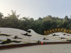 -西双版纳原始森林公园