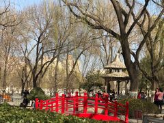 -玲珑塔公园