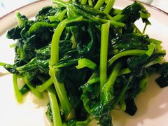 清炒豌豆尖-雲蜀龙阁·金牌水煮鱼(方庄店)