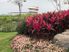 -光明小镇欢乐田园