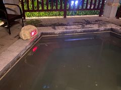 -凤翔首邑温泉度假村