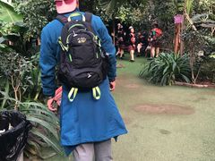 -呀路古热带植物园