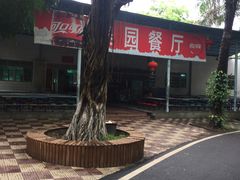-广东茂名森林公园