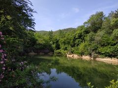 -井塘古村