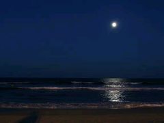 -演武大桥观景平台