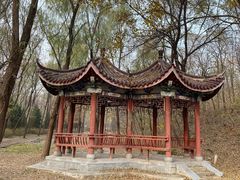 -云岗森林公园