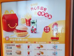 -麦当劳(东苑丽宝商业广场店)