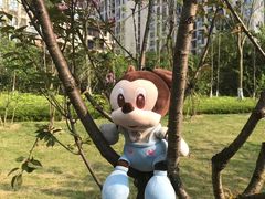 -重庆彩云湖湿地公园