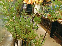 -永安水煮活鱼·仪征土菜院子