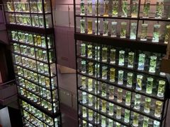 -广东中医药博物馆