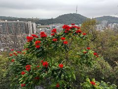 -佛山华盖山公园
