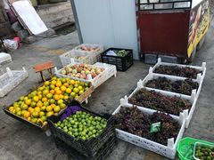 -登州市场(登州路店)