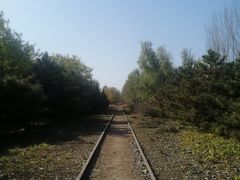 -永定河休闲森林公园