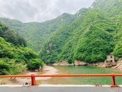 -王顺山国家森林公园