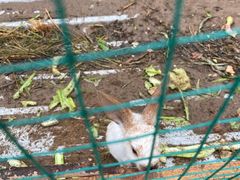 -庞各庄西瓜蔬菜采摘园·锦华瓜园