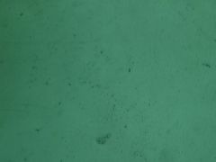 -上足·影院足道·SPA(红岭店)