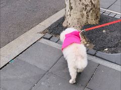 -安福路
