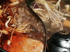 -呷哺呷哺 黄金牧场 (回龙观港龙店)