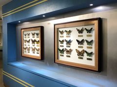 -上海昆虫博物馆