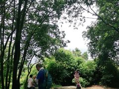 -火炉山森林公园