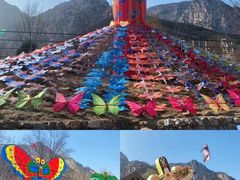 -禅宗少林·音乐大典