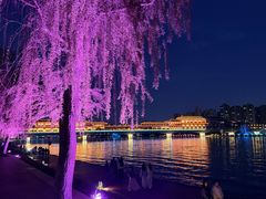 -咸阳湖景区