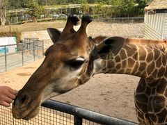 -泉州海丝野生动物世界