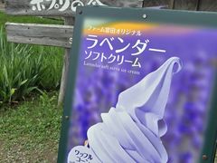 -富田农场