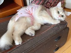 -美迦爱-牙专科·兔科·骨科诊疗中心(北苑店)