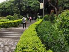 -古榕公园