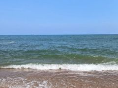 -渡海小渔村.老辈日照菜