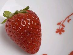 -临武万客隆国际购物广场(晴岚路店)