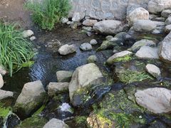 -白水寺森林公园